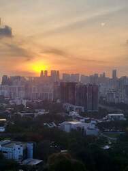 Blk 95 Skyparc @ Dawson (Queenstown), HDB 2 Rooms #538327141